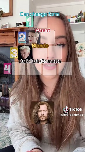 Discover Your Harry Potter House Tier Today!