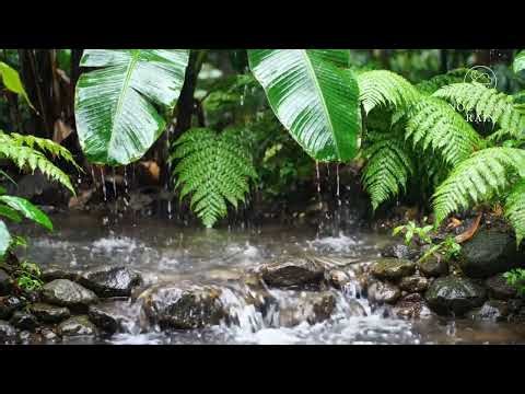 Night Rain for Deep Sleep & Relaxation | Gentle Rain Sounds for Stress Relief🌧️‪@NocturneRain-d9u‬