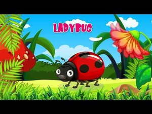 Learn the names and sounds of insects