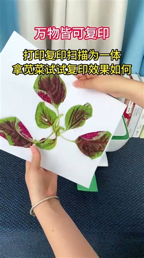 Everything can be copied, print, copy and scan three-in-one, try the effect with amaranth Printer.