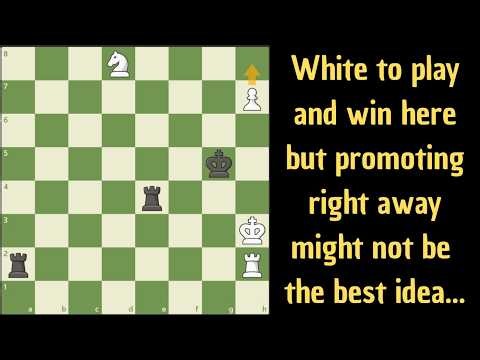 A long but beautiful Sunday chess study
