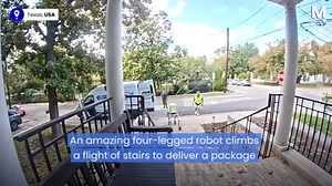 Delivery robot forgets to drop package then flings itself down stairs