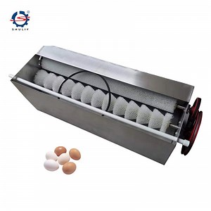 [Hot Item] Automatic Egg Washer Washing Machine for Sale