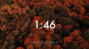 Autumn Aerials - Countdowns Various Lengths