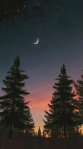 Twilight Forest ASMR Night Ambience with Crickets Sleep & Study