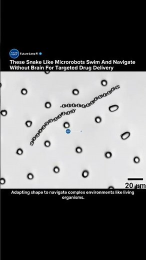 Tiny 3D-Printed Robots That Act Alive Without a Brain Shock Scientists #3dprinting #robot #medical
