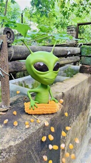 Misu made a tree out of corn 😱😂 #shorts #comedy #popular #viral