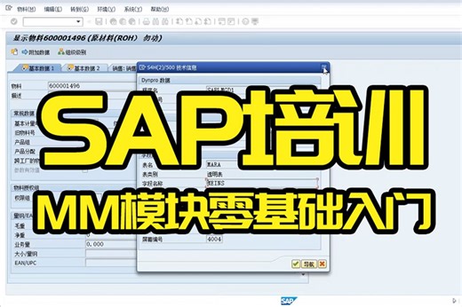 SAP MM模块 转行SAP顾问 SAP新版本基础学习教程 推荐就业