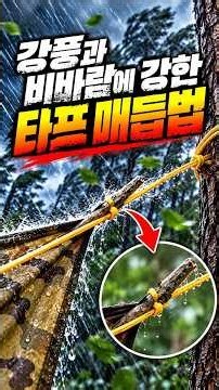 강풍 상황에서 사용하는 타프쉘터 매듭법