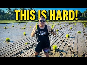 I Tried Rice Farming in the Philippines… I Wasn’t Ready 🇵🇭