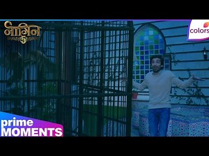 Naagin S5 | Ep. 19 | Jai Puts Veeranshu In Cage | Colors TV