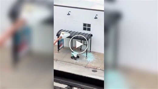 A delivery robot rammed a bus stop » Nevsedoma