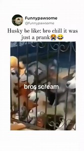 Chill bro | Embarrassing Photos and Fails