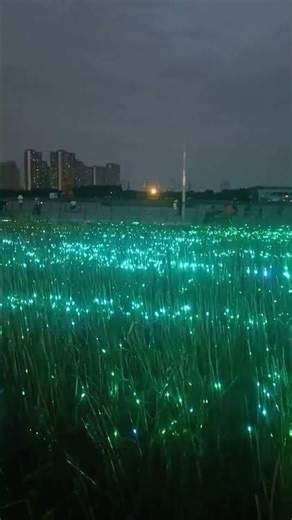magical meadow of fireflies effect created by light