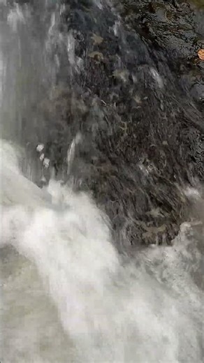 ASMR River Sounds 🌊 Instantly Relax Your Mind#asmr #riversounds #relaxing