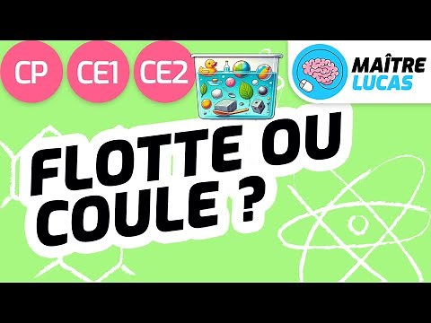 Coule ou flotte ? CP - CE1 - CE2 - Cycle 2 - Questionner le monde - Sciences