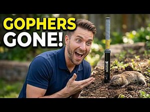 How to Use a GopherHawk Trap to Kill Gophers in Your Garden