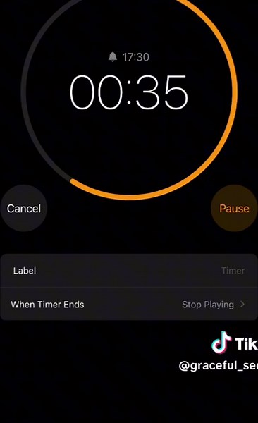 Spend a Minute with God - He’s Just Been That Good #GodlyMinute #gracefulseconds #60s #God #fyp #thankyou #rickydillard #algorithm #viral
