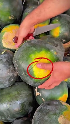 stained watermelon || #trending #shortvideo