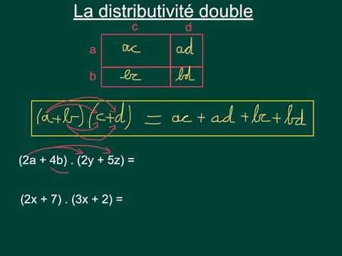 Introduction to algebraic calculation (4) Double distributivity