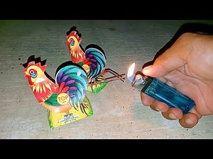 Mercon jago eek hitam custek dan air mancur