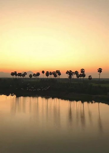 Good Morning Tamil Vibes: Uplifting Songs for Your Day