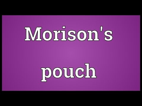 Morison's pouch Meaning