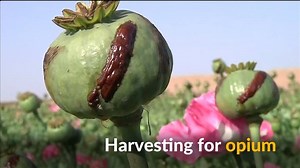 629K views · 3.5K shares | Families and children prepare for annual...