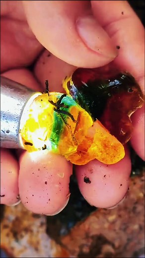 Crystal Hunting Adventures: Uncover Treasures in the Wild