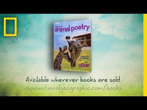 A Reading by J. Patrick Lewis from "Animal Poetry" | National Geographic