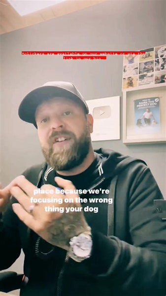 How to have a well behaved dog! Clicker training! We currently have these om sale for just £3.99 delivered https://southenddogtraining.co.uk/shop/training-equipment/dog-clicker/ | Southend Dog Training