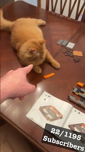 THE CRAFTING TABLE | 22/1195 Subscribers | #Lego