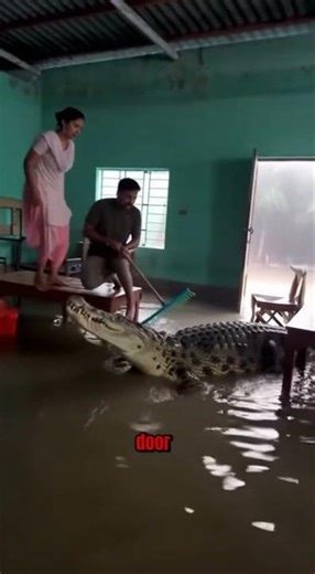 He Fought a Crocodile to Save His Wife 🐊💔