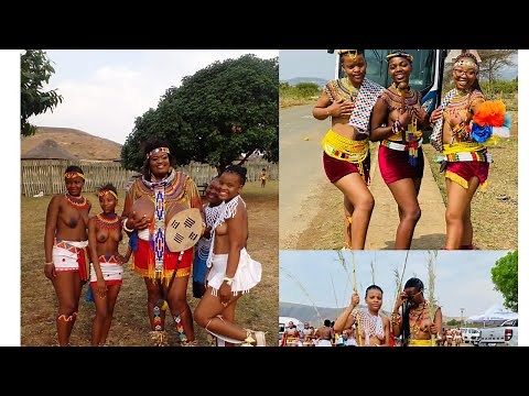 Enyokeni 2022 ,Izintombi Zomhlanga -King Misuzulu