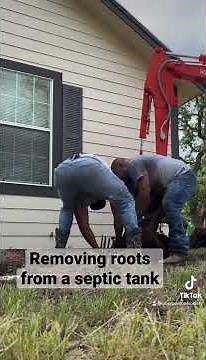 Removing roots from a Septic Tank