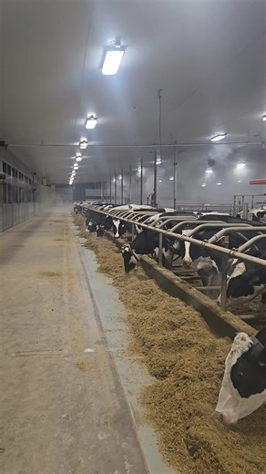 arc farms (@arcfarms)’s videos with original sound - arc farms