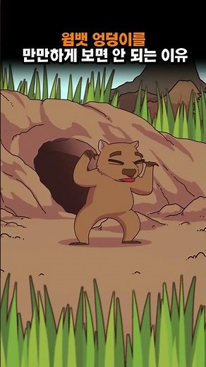 A Wombat's butt is a real weapon #ShortsAnimation