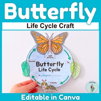 Life Cycle of a Butterfly Science Cut and Paste Spring Bulletin Board Craft