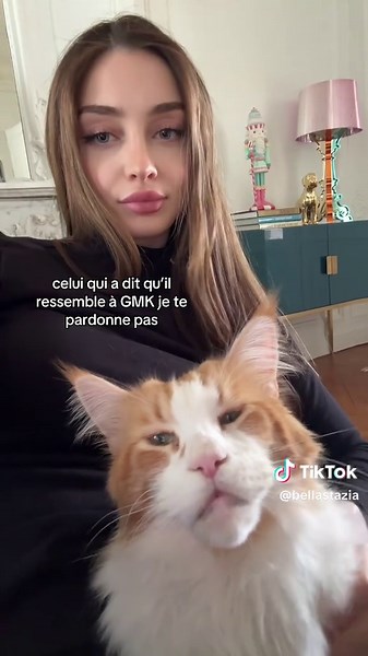 Récupère ton chat : Un mystère à résoudre !