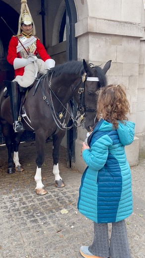 22K views · 446 reactions | Special Bond: Horse Shows Affection to Tourist at Horse Guards | #KingsGuard #HorseGuardsLondon #RoyalGuards #HouseholdCavalry #SpecialMoment #RoyalHorse #LondonTour #MagicalEncounter #EpicLondon #LondonTourism #UKTravel #RoyalTradition #HorseLovers #ViralVideo #FBReels | The Royal King’s Guards Reel | Facebook