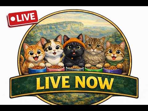 LIVE NOW: Paw Crew Lunch Feed 🐾 Feral Cat Shelter Cam