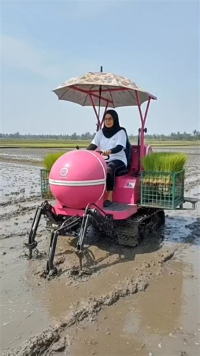 Riding type rice transpalater mesin ini mempermudah para petani menanam bibit padi #competition #fun | Srie Yuni Syahputra