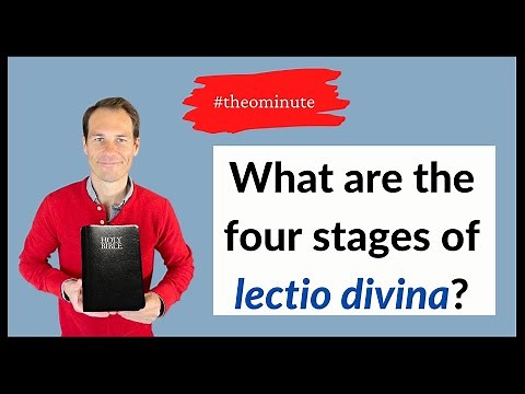 What are the four stages of lectio divina?