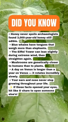 18K views · 129 reactions | Totally Random Facts About the World You Never Learned  #facts | Daily Brain T | Facebook