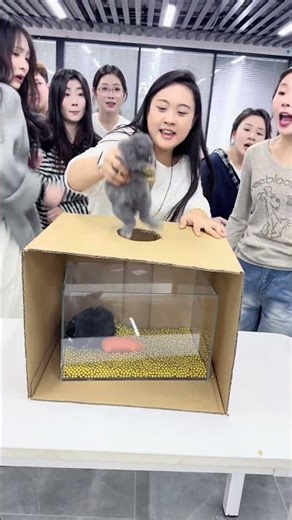 Horror blind box game where you can win gold coins! Haha, everyone's got a heart of stone