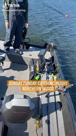 Musky all day every day #musky #muskie #muskyhunter #fyp #foryourpage #fish #fishing #outdoors #trolling #wisconsin #wisco #lake #follow