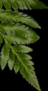 Our Home - Sunfield Home Howick