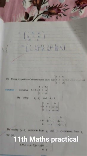 11th standard maths practical 4 determinants and matrices 📝📝