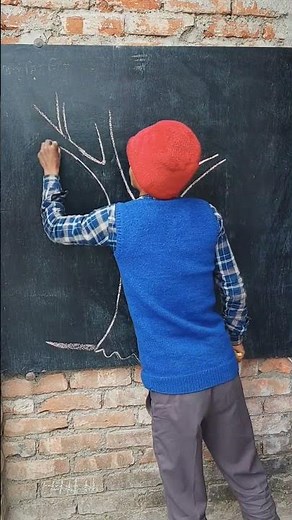 how to draw stemp of tree 🌳