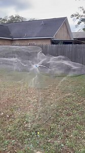 Cast Net King on Reels